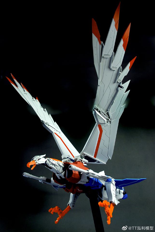 Its a Bird, Its a Plane, Its TT Hongli PF-01 Red Falcon - T